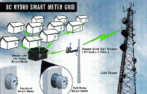 20120907-BC Hydro Smart Meter Grid